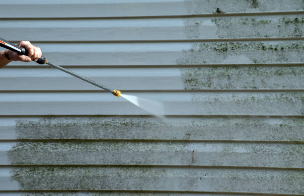 Animal Enclosure Cleaning in Newton, IL